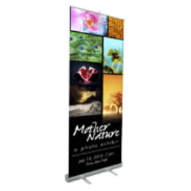 19 pull up banner
